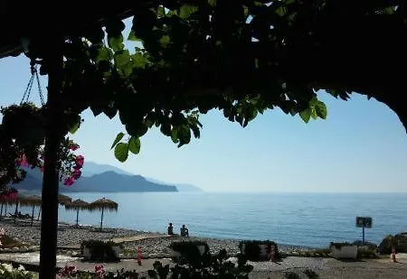 Oriental Bay 팔라이오코라